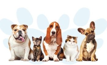 Veterinaria Hernández