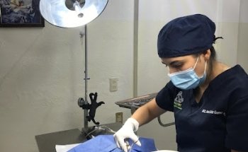 Froyvet Hospital Veterinario