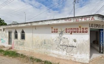 veterinaria las espuelas