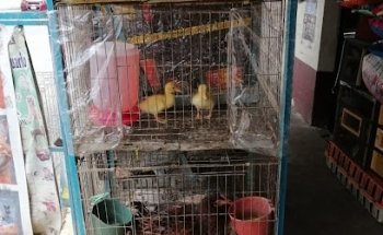 Veterinaria y Forrajes el Borrego