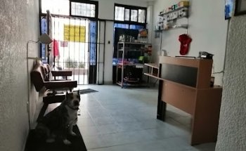 Hospital de Especialidades Veterinarias de Oriente