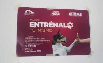 Centro de control y bienestar animal