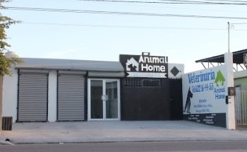 Clínica Veterinaria 