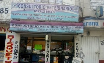 Consultorio Veterinario