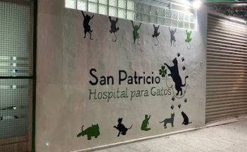 San Patricio Hospital para Gatos