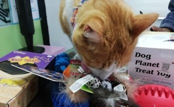 Clinica Veterinaria Pet Shop