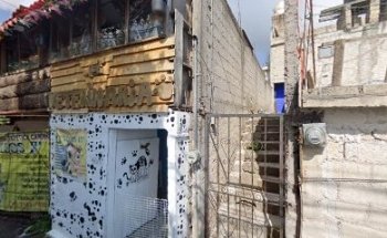 Veterinaria y Estetica Canina 