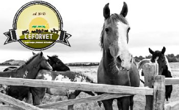 CENTRO FORRAJERO Y VETERINARIO DEL GUADIANA CEFORVET