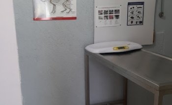 Pup Center Servicios Veterinarios