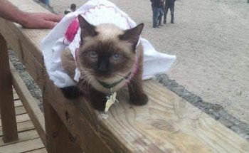 Veterinaria La Granja