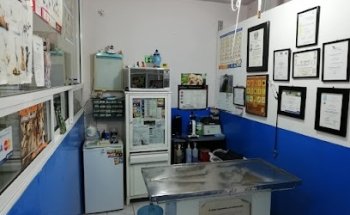 Clínica Veterinaria Vet SHAK