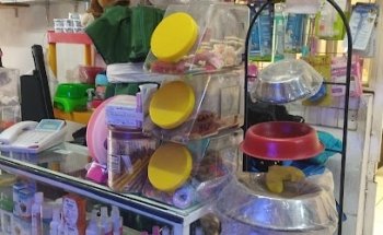 Veterinaria GUA-GUAPOS