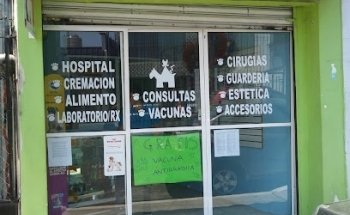 Veterinaria De Pelos Y Moños