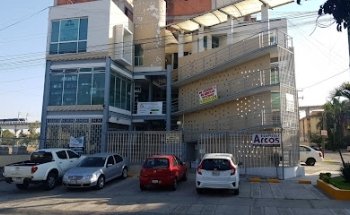 Veterinaria City Dog