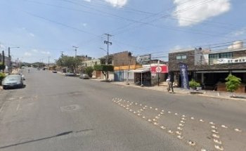 Estetica canina Obryans