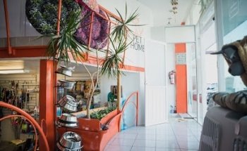 Veterinaria Pet Home