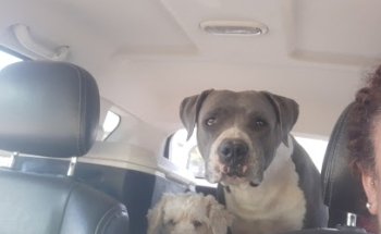 Veterinaria del Valle