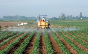 Agroveterinario group El Progreso, S.A. de C.V.