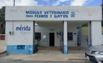 MODULO VETERINARIO DE BAJO COSTO