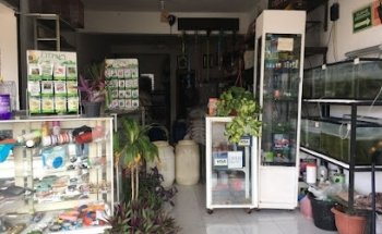 Agroveterinaria La Riviera Maya