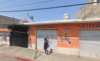 Consultorio Veterinario