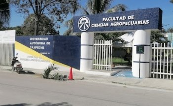 Facultad De Veterinaria Uac