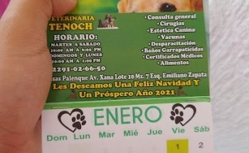 Veterinaria Tenoch
