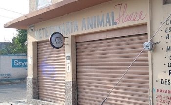 Veterinaria 