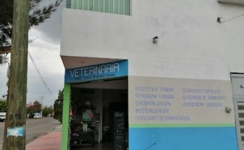 Clínica Veterinaria Allvet Luis Echeverría