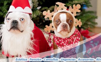 HEMVET Hospital Veterinario