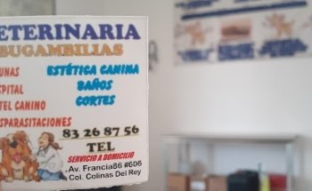 Veterinaria Bugambilias