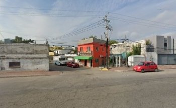 Estética Veterinaria 