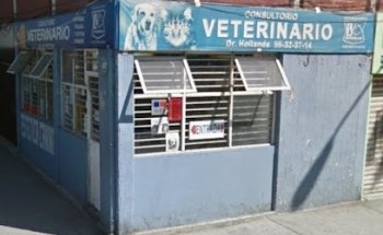 Clínica Veterinaria Hollands