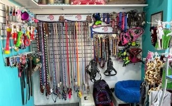 Veterinaria Dog Planet