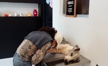 Clínica Veterinaria Alemán