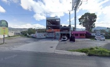 Estética Canina Perros