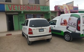 Veterinaria California