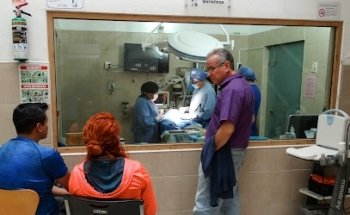 Veterinary Hospital Peques