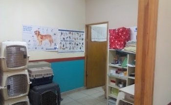 Pet Friends Clínica Veterinaria