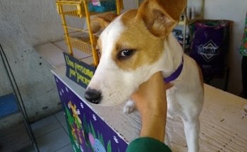 Veterinaria Miau Miau