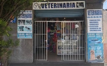 Veterinaria