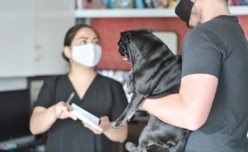 Veterinary clinic Dr. Altamirano