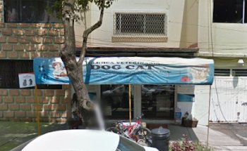 Clinica Veterinaria Dog Cat