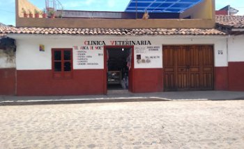 Clínica Veterinaria 