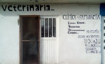 Veterinaria Chuchos