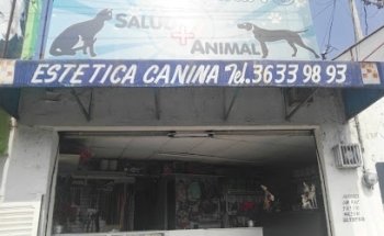 Veterinaria Santa Margarita