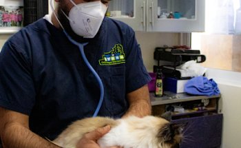 Centro Integral Veterinario Santa Fe: Pet's 4 life