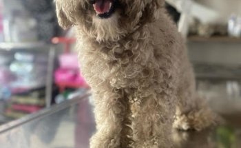 Veterinaria La Granja