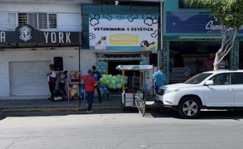 Veterinaria Mascota y Estética Canina