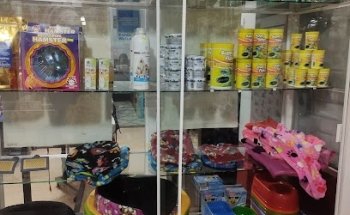 Consultorio Veterinario 